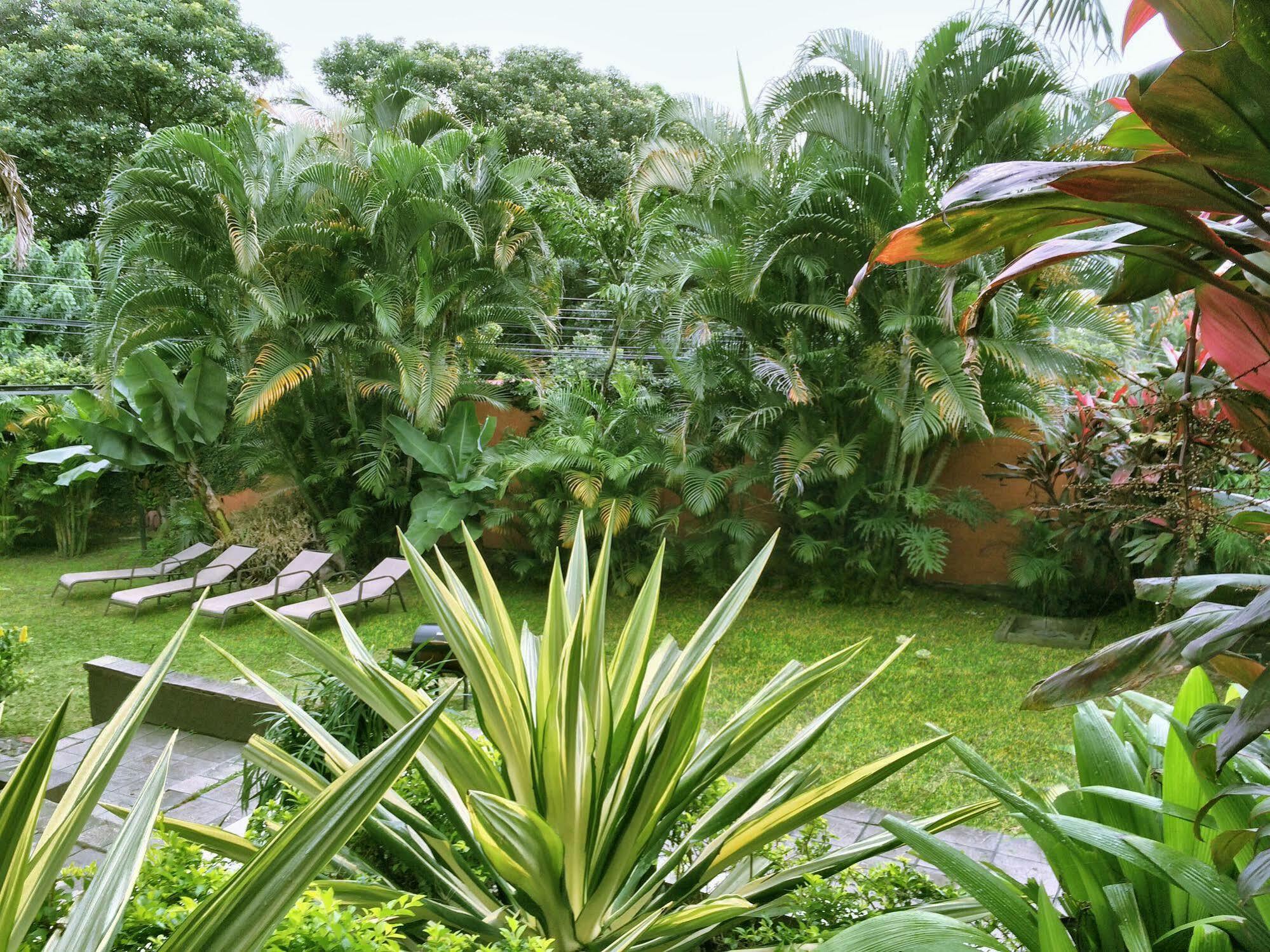 Hotel Dream House Escazu San José Zewnętrze zdjęcie