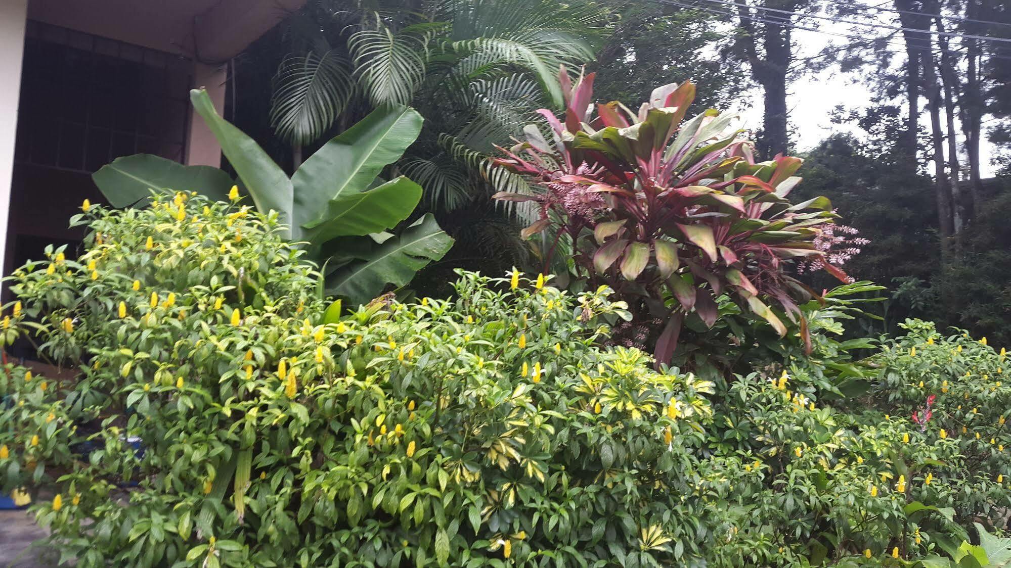 Hotel Dream House Escazu San José Zewnętrze zdjęcie
